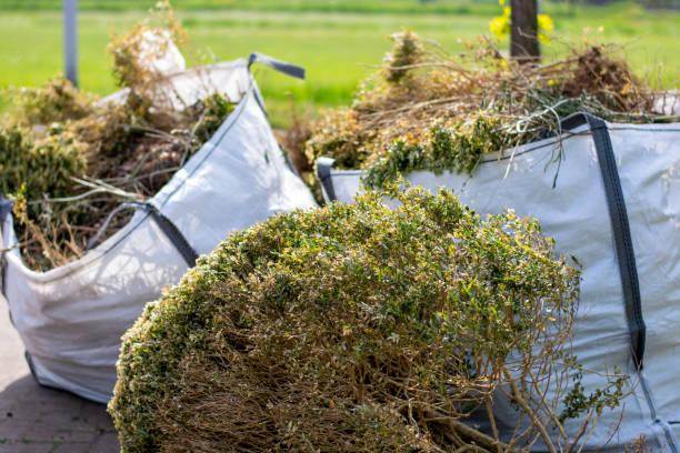 Best Residential Junk Removal  in Hale Center, TX