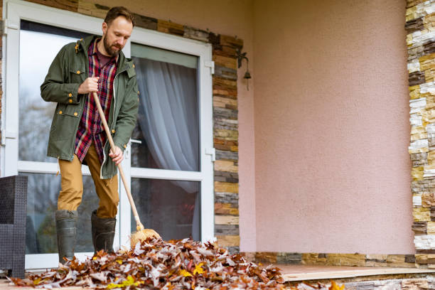 Best Electronics Removal Services  in Hale Center, TX